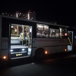 В красноярском автобусе на 7-летнюю девочку упали несколько пассажиров. Они не держались за поручни