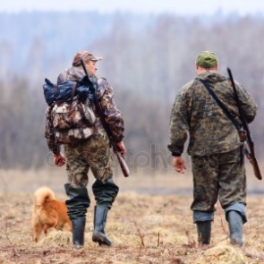 На юге Красноярского края охотники выманивали животных мощным фонарем и убивали их. Грозит до 4 лет колонии