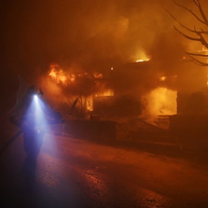 Премьеру нового «Терминатора» отменили из-за разгула стихии