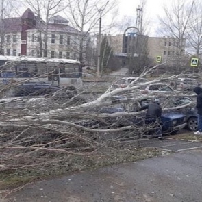 Огромное дерево упало на крыши припаркованных авто: двоим помогли спасатели