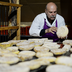 Подсчитаны потери россиян из-за контрсанкций