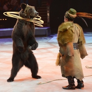 В Росгосцирке рассказали о невозможности обойтись без животных в представлениях