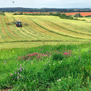 Названо опасное для человечества явление