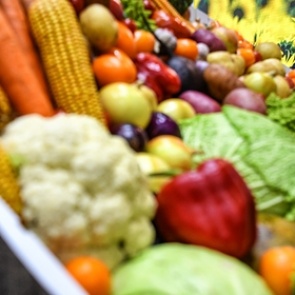 Россиянам назвали укрепляющие иммунитет продукты