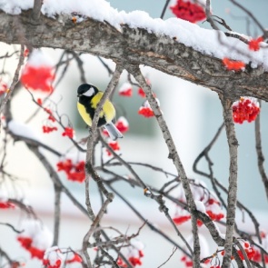 На Красноярск надвигается серьезное похолодание