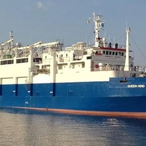 В Черном море утонули 14 тысяч овец