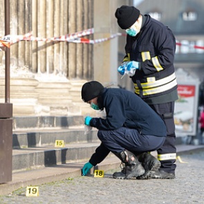 Из сокровищницы в Дрездене украли бриллиантовые украшения