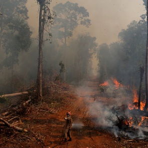 Ди Каприо ответил на обвинения в поджоге лесов Амазонии