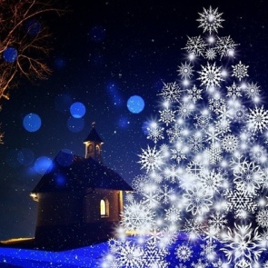 В Красноярске обнародовали точное расписание работы новогодних елок