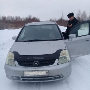 В Красноярском крае поймали браконьера с разделанной тушей краснокнижного лося в машине