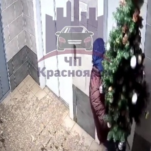 Полицейские вычислили укравшего елку из подъезда парня