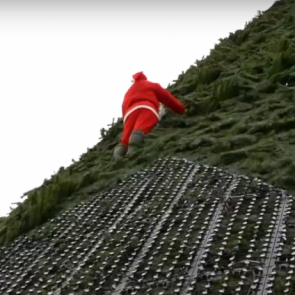 Монтажник в костюме Санта-Клауса покорил елку на острове Татышев