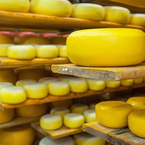 В Красноярский край продали пять тонн неизвестного сыра