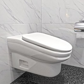 Придуман способ сократить время пребывания в туалете