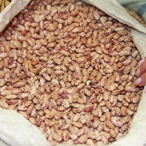 В Красноярске продавали заражённые бобовые