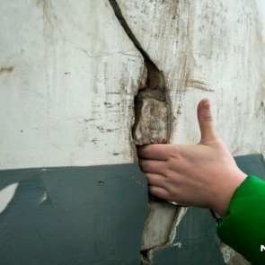 Выпускники детдомов второй год живут в квартирах с плесенью