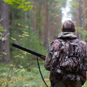 В Красноярском крае браконьеров не стали лишать свободы за ночную охоту на косуль