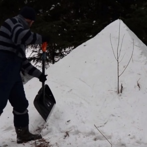 Блогер-лесник провел ночь в сугробе ради эксперимента и простыл