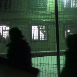 Суд вынес приговор участникам беспорядков в центре содержания мигрантов