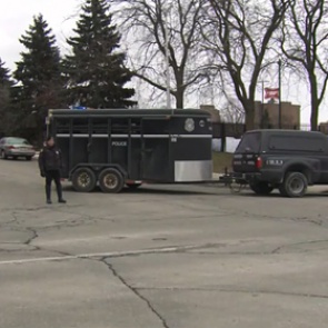 Стрельба произошла на пивоваренном заводе в США