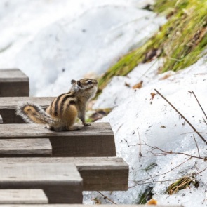 Снег, дождь, слякоть и плюсовые температуры: какой будет погода на рабочей неделе