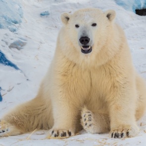 «Роев ручей» закрывает часть экспозиций и в два раза снижает цены на билет