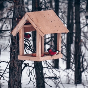 Аномальные +19: смотрим, какой будет следующая неделя в Красноярске