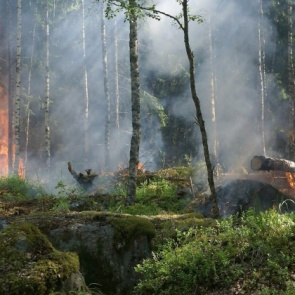 Весенние палы: как уберечь свой дачный дом