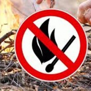 С 14 апреля на территории Ачинска вводится особый противопожарный режим