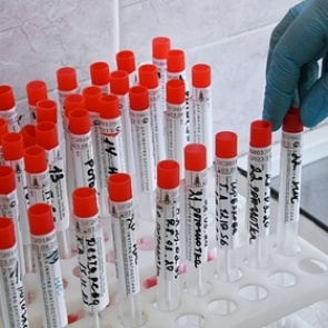 Красноярец заразил 8 жителей Тувы коронавирусом. Среди них четверо детей