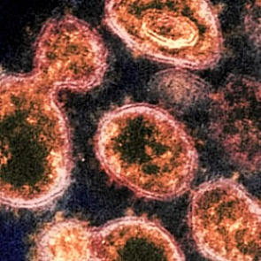 Раскрыт единственный надежный способ борьбы с пандемией