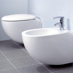 Выбираем биде