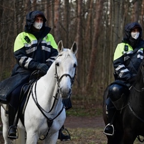 Опубликованы данные о заразившихся коронавирусом на утро 29 апреля
