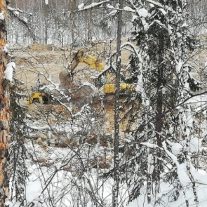 Силовики обнаружили незаконную добычу золота. Ущерб превысил 70 млн: видео