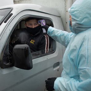 Коронавирус в Красноярском крае на 1 мая