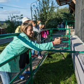 Директор зоопарка Красноярска назвал три причины отказа от покупки слона