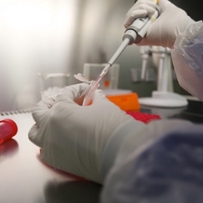 Доказана способность коронавируса передаваться половым путем