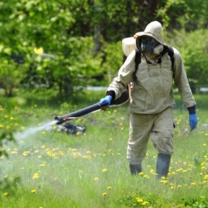 С 13 по 21 мая в Ачинске пройдёт противоклещевая обработка парков, скверов и общегородских мест памяти