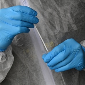 Разработан первый в мире генетический тест на коронавирус