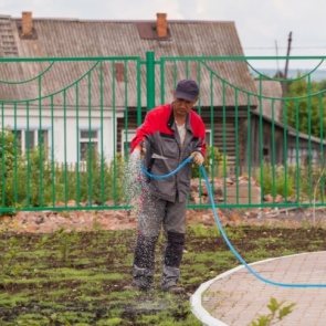 Налог на воду и штраф за борщевик: разбираемся в садовых законах нового сезона