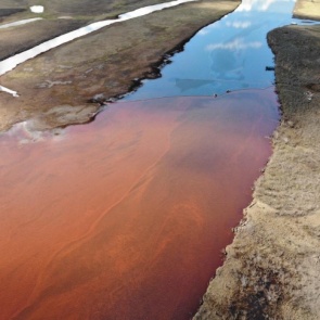 Рассказываем, что известно о, возможно, крупнейшей экологической катастрофе в России к середине дня