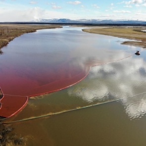 «Этот состав отравляет медленно»: эпидемиолог — о воздействии разлитого дизтоплива на здоровье людей