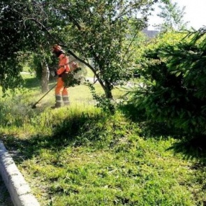 В Ачинске стартовал сезон покоса травы (график работы «зеленых парикмахеров» на июнь 2020 года)