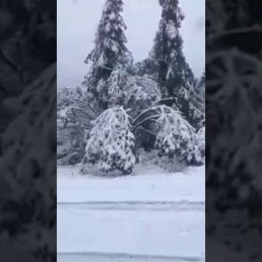 Перевал на границе Тувы и Хакасии засыпало снегом, а под Саяногорском град разбил машины