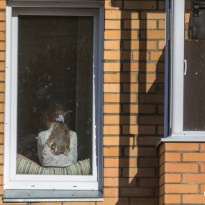 В Красноярске для изучения формируют группу детей-добровольцев, переболевших COVID-19