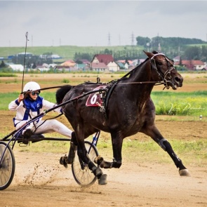14-летний красноярец стал победителем сибирского молодежного чемпионата наездников