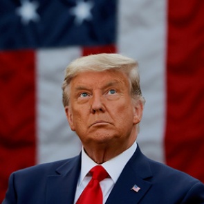 Американцы посоветовали Трампу немедленно признать поражение на выборах