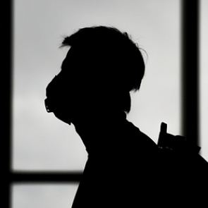 Всех пассажиров авиарейса из Москвы задержали в Нью-Йорке