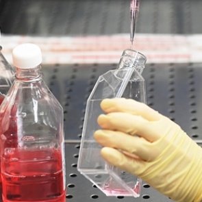 Вирусолог оценил эффективность вакцин против нового штамма коронавируса