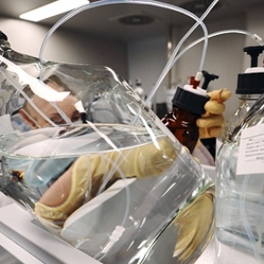 Вирусолог сравнил иммунитет против COVID-19 после болезни и вакцинации